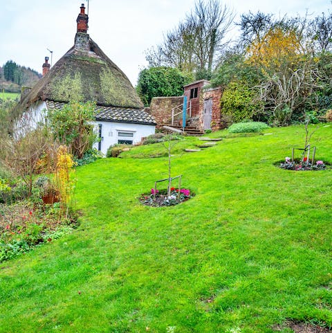 Lap up the luscious green nature of the uniquely landscaped garden 