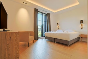 Palm Pleasure image 11