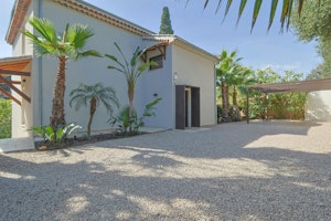 Palm Pleasure image 3