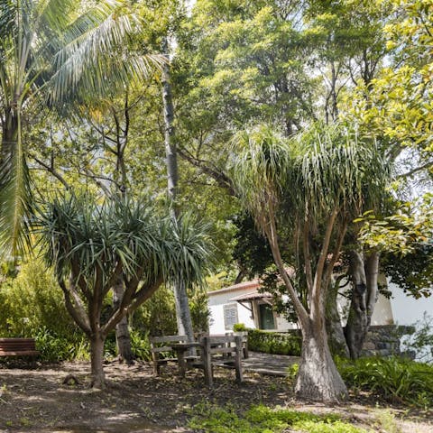 Enjoy a peaceful moment among the property's several-hundred-year-old trees