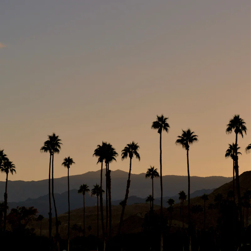 Enjoy the stunning desert sunsets over Palm Springs