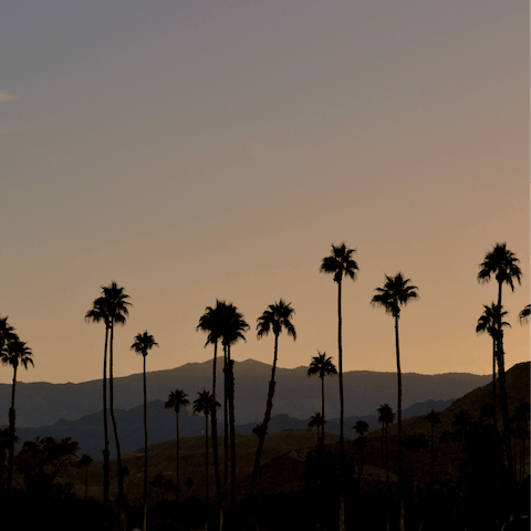 Enjoy the stunning desert sunsets over Palm Springs 