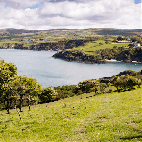 Explore the spectacular landscapes of the Pembrokeshire Coast National Park