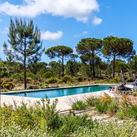 Find a wonderful sense of peace while relaxing by the pool