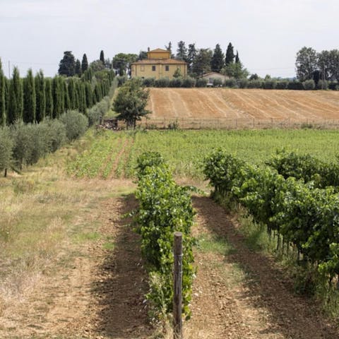 Pad outside and admire the typically Tuscan vineyard views