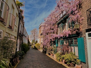 The Rose of the City image 10