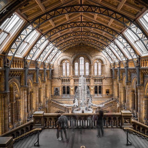 Spend the day at the Natural History Museum, a short walk away