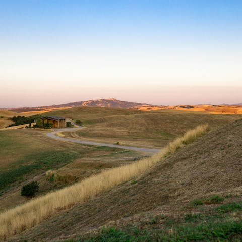 Enjoy a drive through the countryside to the town of Lajatico