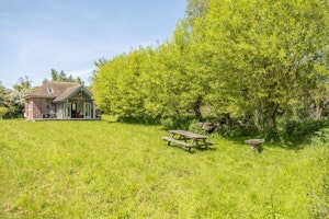 Meadow Through the Glass image 14