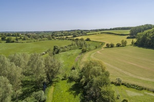 Meadow Through the Glass image 13
