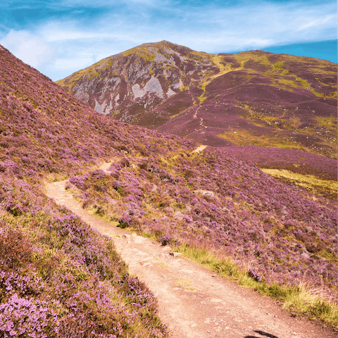 Hike through the heather-covered hills of the Cairngorms – approximately 30 miles away