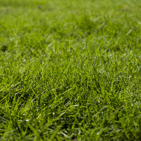 While away the afternoon in your private garden