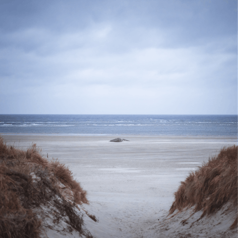 Take a twenty-five minute stroll to the famed white sands of Blåvand Strand