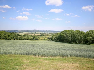 Hillside Light image 8