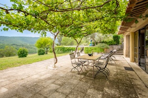Bonnieux through the Vines image 4