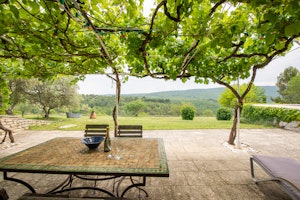 Bonnieux through the Vines image 2