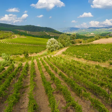 Spend the day wine tasting at your local vineyard – this is Chianti region, after all