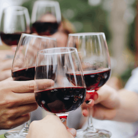Sample some local Tuscan wine at the host's own vineyard