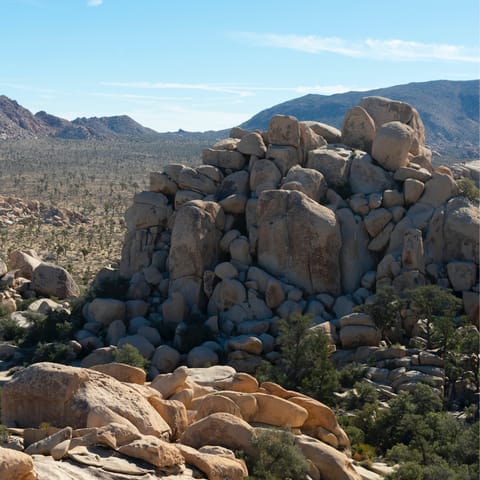 Make the fifteen-minute drive to Joshua Tree National Park for breathtaking hikes