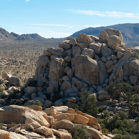 Make the fifteen-minute drive to Joshua Tree National Park for breathtaking hikes