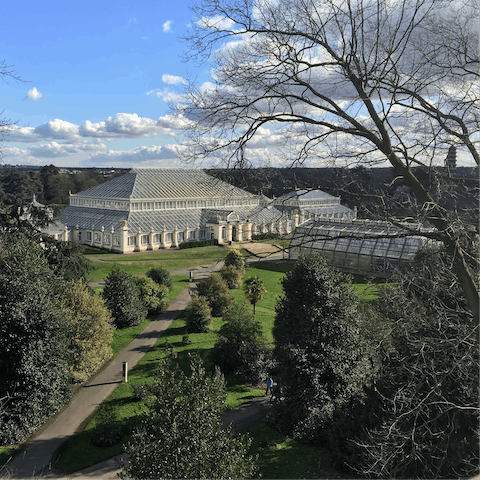 Stay just a twelve-minute drive away from Kew Gardens