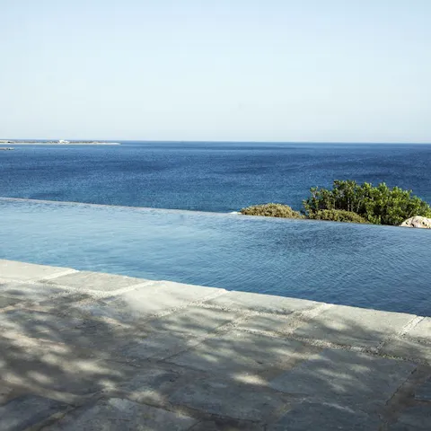 Take in the sea views from the infinity pool