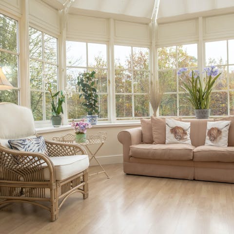 Unwind in the conservatory with a glass of wine