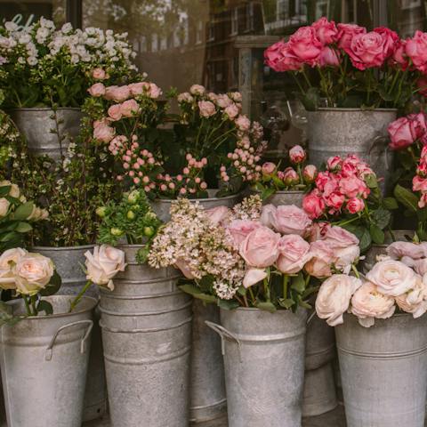 Pick up some blooms from the flower market on Passeig de la Rambla, a mere five-minute wander from this home  