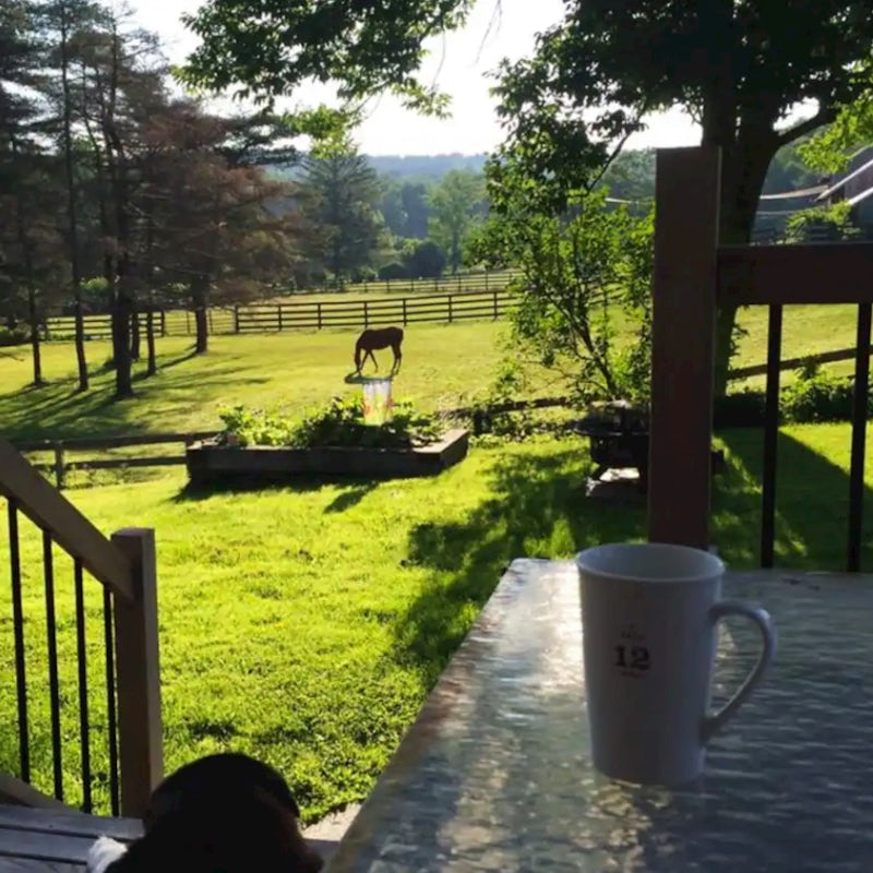 Look out on the neighbouring horse farms from the porch