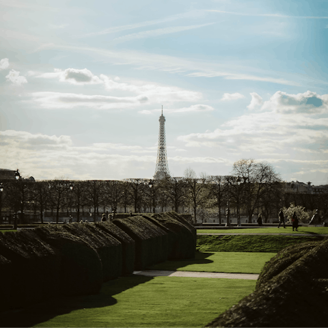 Admire the view of the Eiffel Tower from nearby Jardin des Tuileries
