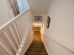 A Mews for You image 13