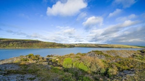 From Land to Sea image 15