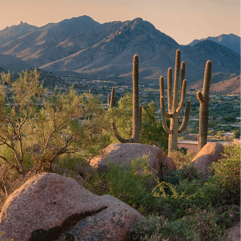 Hike the trails of the South Mountain Park and Preserve, thirty-minutes away by car