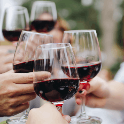 Try a Tuscan red with a wine tasting session organised by your host