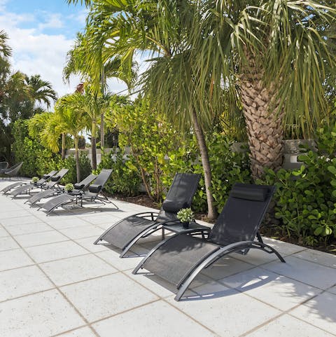Relax on a sun lounger surrounded by palms