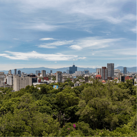 Explore the lively Condesa and its many restaurants, parks, and bars
