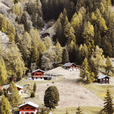Explore the charming mountain village of  Riederalp, twelve minutes away on foot