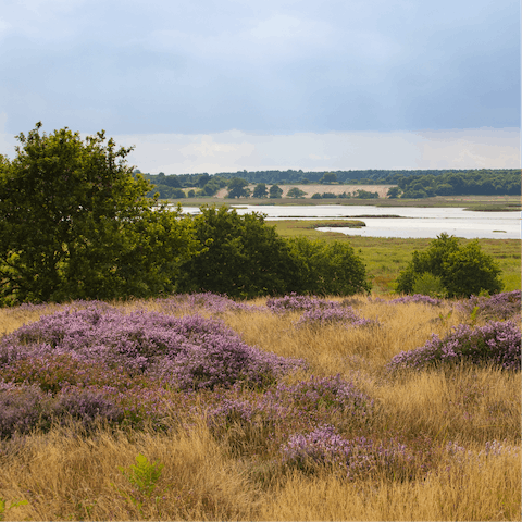Enjoy rambles in the Suffolk countryside – Stoke-by-Nayland village is a one-minute walk away