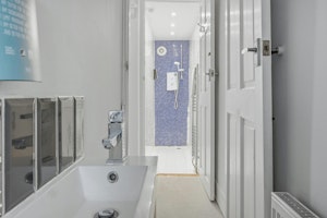 Oyster Shore image 9