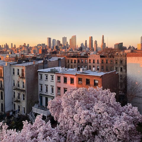 Stay in Bedford-Stuyvesant, a vibrant enclave in Brooklyn