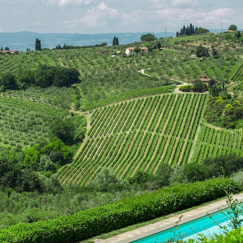 Head out and explore the rolling hills of Tuscany