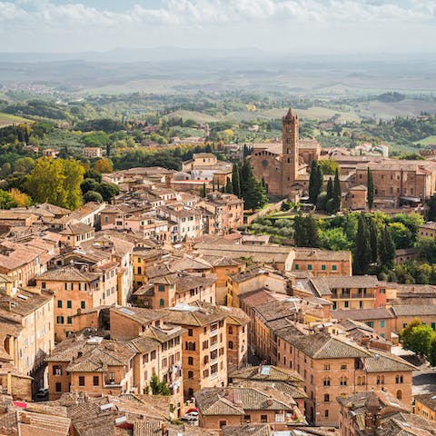 Drive five minutes to the pretty town of Tavarnelle Val di Pesa