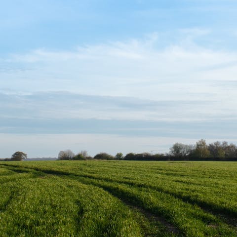 Embrace the great outdoors with long walks through the Kent countryside