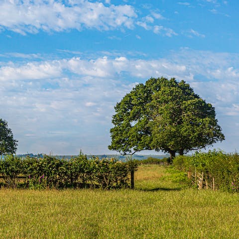 Enjoy countryside walks right from the property