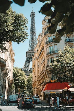 Purely Paris image 6