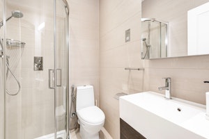 Park Avenue image 11