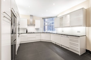 Park Avenue image 7