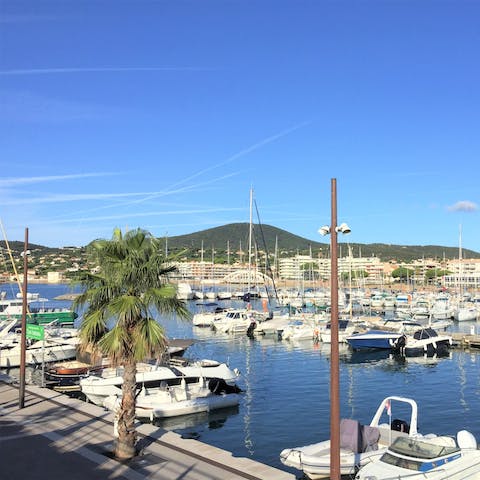 Have a stroll around the nearby marina