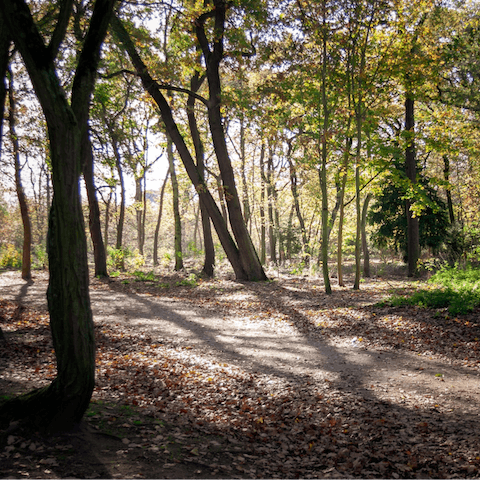 Take long, meandering strolls through Bois de Boulogne, a thirteen-minute walk away 