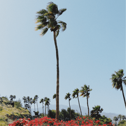 Check out the restaurants and shops of Downtown Palm Springs, a five-minute drive away